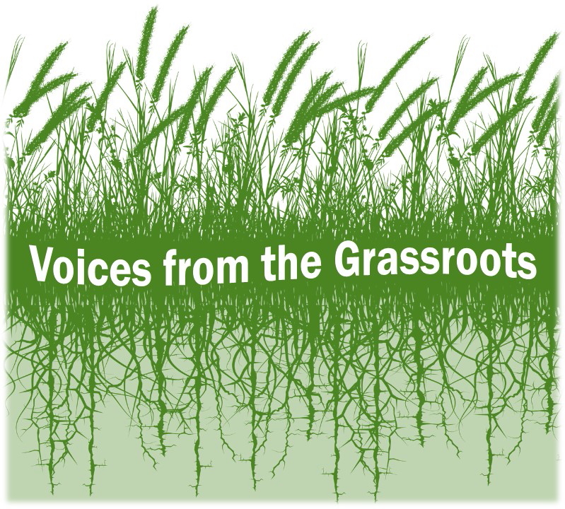 Logo for JAFSCD Voices from the Grassroots essays