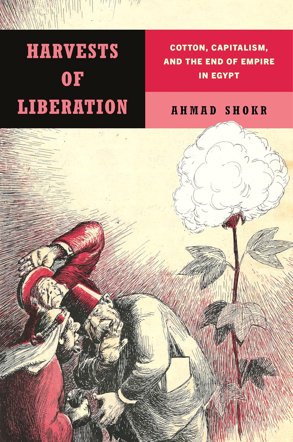 Cover of Harvests of Liberation