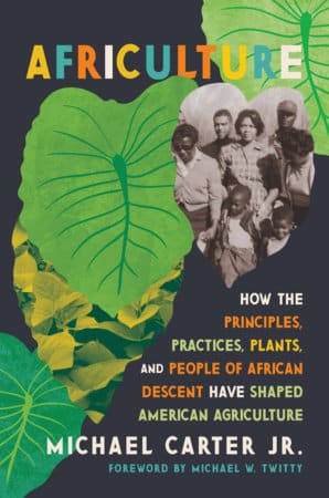 Cover of "Africulture" by Michael Carter Jr.