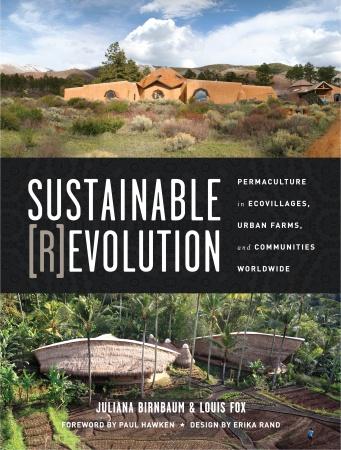 Cover of Sustainable [R]Evolution